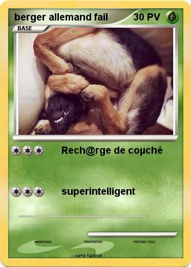 Pokemon berger allemand fail
