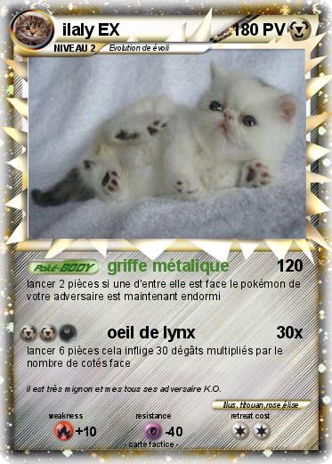 Pokemon ilaly EX