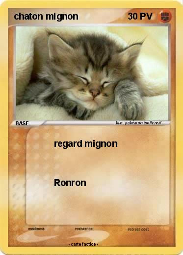 Pokemon chaton mignon