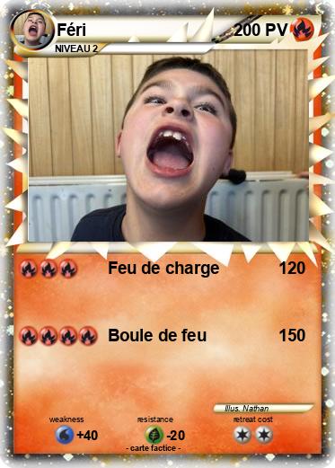 Pokemon Féri