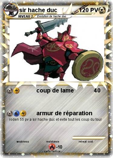 Pokemon sir hache duc