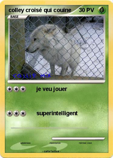 Pokemon colley croisé qui couine