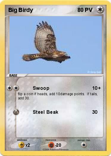 Pokemon Big Birdy