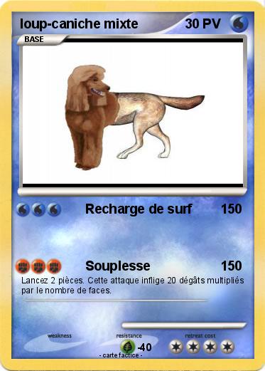 Pokemon loup-caniche mixte