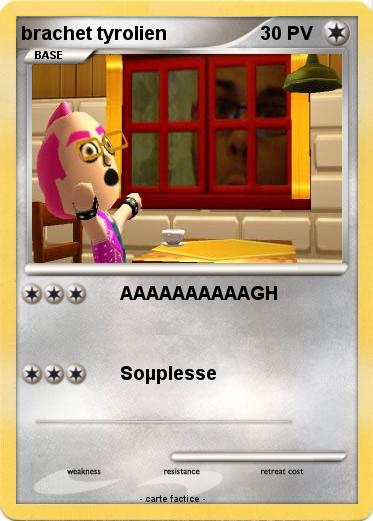 Pokemon brachet tyrolien