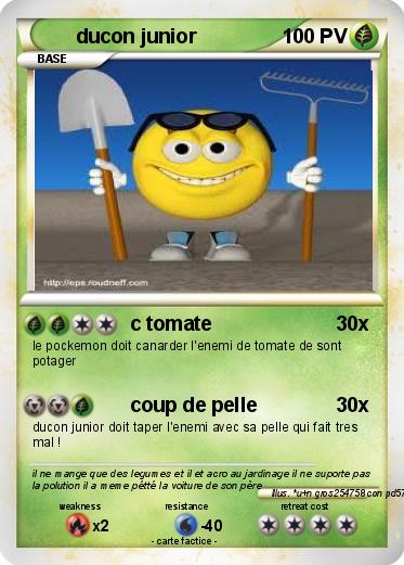 Pokemon ducon junior