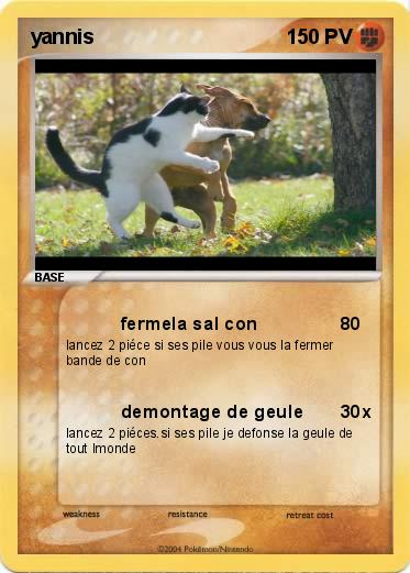 Pokemon yannis