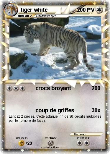 Pokemon tiger white