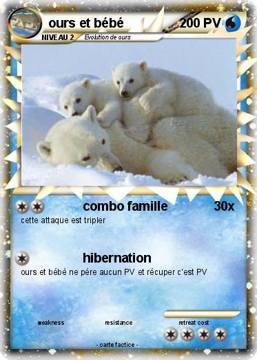 Pokemon ours et bébé