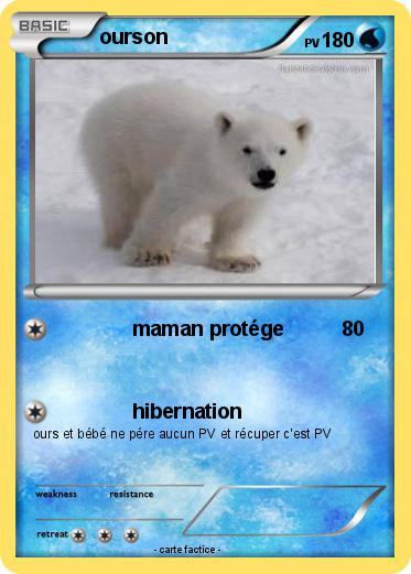 Pokemon ourson