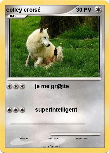 Pokemon colley croisé