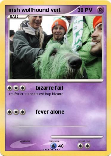 Pokemon irish wolfhound vert