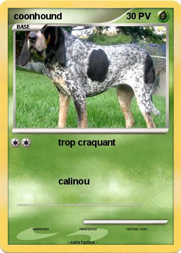 Pokemon coonhound