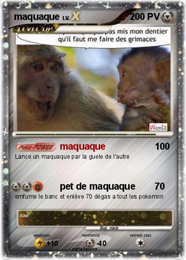 Pokemon maquaque