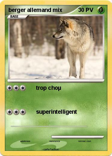Pokemon berger allemand mix