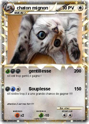 Pokemon chaton mignon