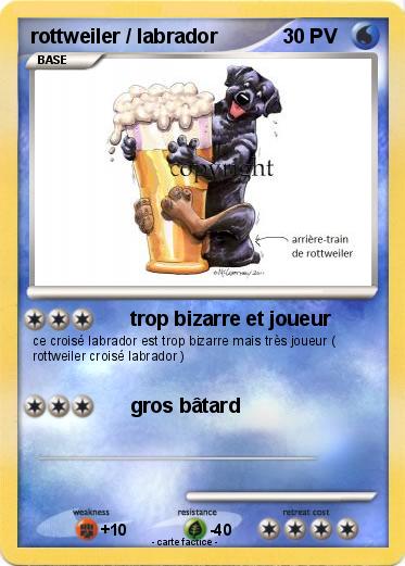 Pokemon rottweiler / labrador