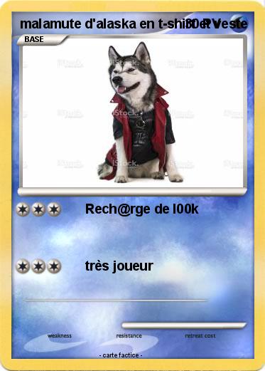 Pokemon malamute d'alaska en t-shirt et veste