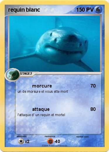 Pokemon requin blanc 