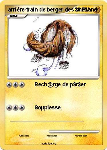 Pokemon arrière-train de berger des shetland