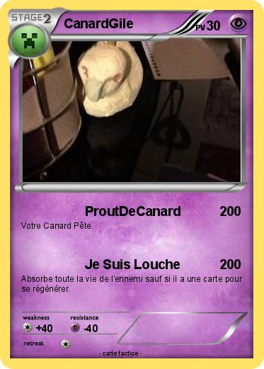 Pokemon CanardGile