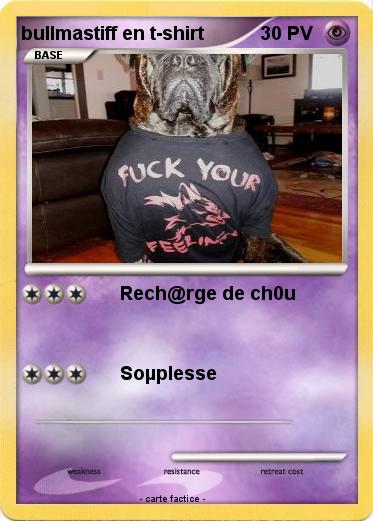 Pokemon bullmastiff en t-shirt