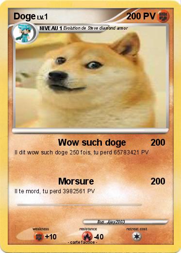 Pokemon Doge