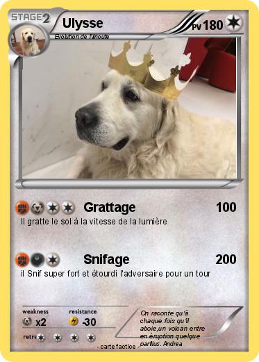 Pokemon Ulysse