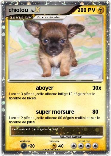 Pokemon chiotou