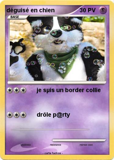 Pokemon déguisé en chien