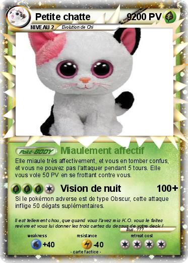 Pokemon Petite chatte              9