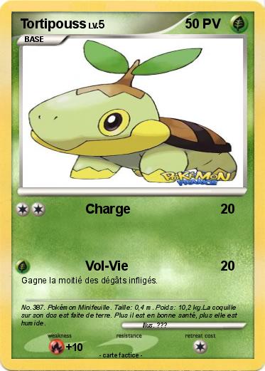 Pokemon Tortipouss