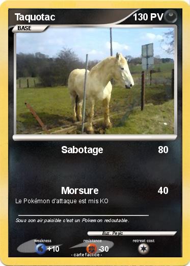 Pokemon Taquotac