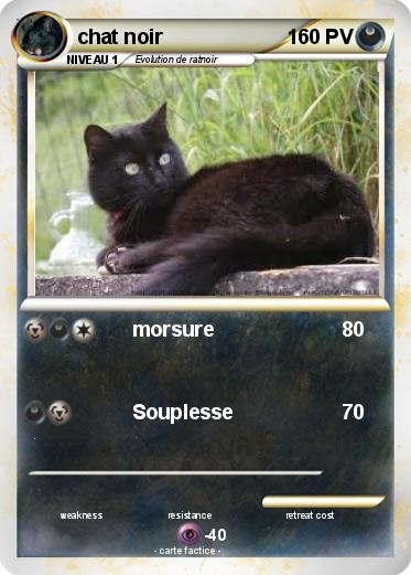 Pokemon chat noir
