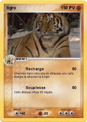 Pokemon tigro