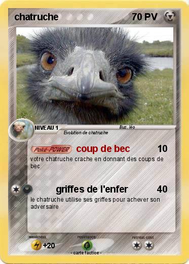 Pokemon chatruche