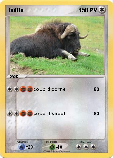 Pokemon buffle