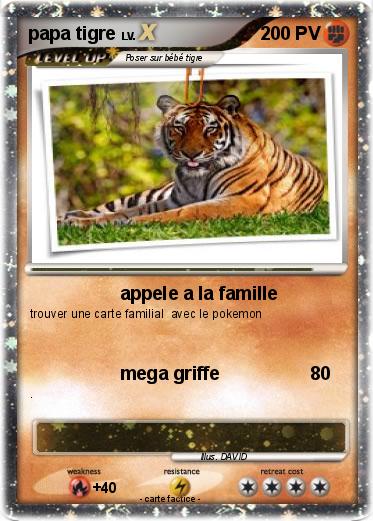 Pokemon papa tigre