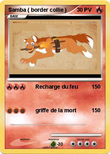Pokemon Samba ( border collie )