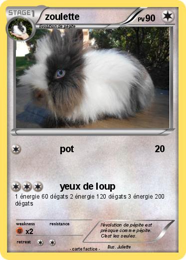 Pokemon zoulette