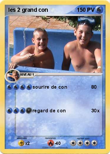 Pokemon les 2 grand con