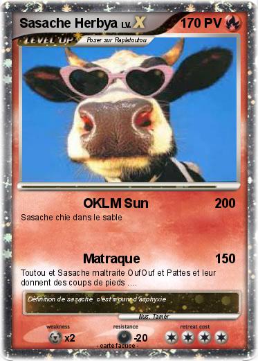 Pokemon Sasache Herbya