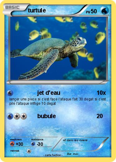 Pokemon turtule