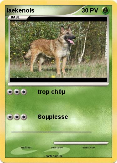 Pokemon laekenois