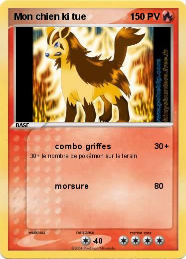 Pokemon Mon chien ki tue