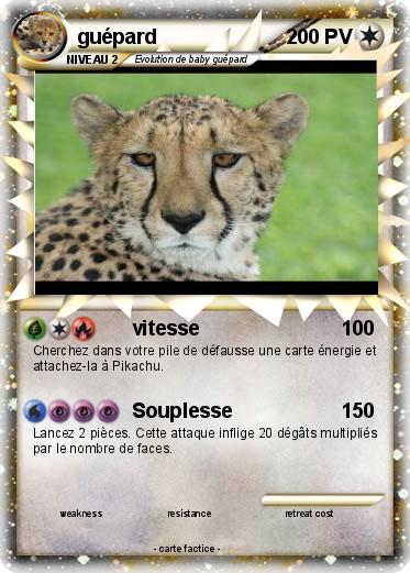 Pokemon guépard