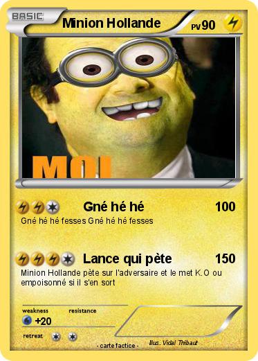 Pokemon Minion Hollande