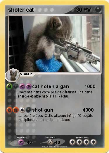Pokemon shoter cat