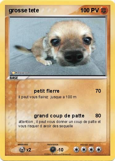 Pokemon grosse tete
