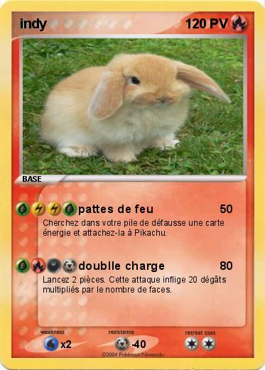 Pokemon indy